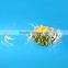 clear plastic packaging disposable salad bowl