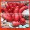 High Quality Automatic Plastic (PE) Automatic Duck, Goose, Chicken Drinkers