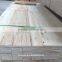 Poplar LVL plywood