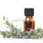 Pure Rosemary Oil From India | Natural Rosemary Oil For Export Only