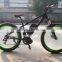 electric mountain bike/electric fat bike