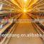south africa best sale chicken cage/ chicken egg layer cages