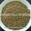 Cumin Sortex and Machine Clean