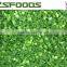 IQF Frozen green onion spring onion welsh onion