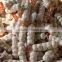 Natural Garlic peeling unpeeled fresh garlic import export wholesale