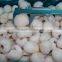 good taste IQF lychee meat ,chinese fresh frozen peel lychee fruit 2016 new crop