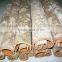 Best selling Tube cinnamon/split cassia from Vietnam, high oil content, high quality by HAGIMEX