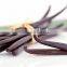 Organic Vanilla Powder Flavor for Ice-cream,juice, Milk and Protein Drinks