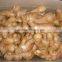 2014 new Air dry Fresh Ginger