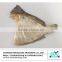 Dried Flatfish fillet/dried souhachi flounder