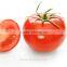 Hot Sale Chinese Vegetable Seeds Best Quality Tomato Seeds for Sale