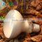 Nomo 50w reptile basking sun bulb lamp, for reptile heating and lighting