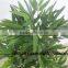 LXY160404 Green Plant Bamboo Bonsai,Artificial Fence Bamboo