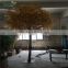 LXY072098 Artificial Golden Ficus Tree for Indoor&Outdoor Decoration