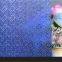 Clear/Bronze/Green/Blue/Grey Obscure Decorative Glass,Embossing Glass