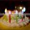 Romantic Coloured Flame Birthday Candle