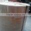 210 Gsm Pe Coated Paper for Food Packing on Discount