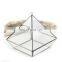 terrarium with ring geometric glass terrarium wholesale