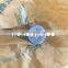 original Pressure Relief Valve pressure limiter 1110010017