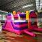 Beautiful Playground Mouse And Donald Duck Inflatable jump House With Slide