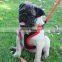 Spring Super Cool Mesh harness adjustable dog harness set small to large