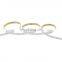 IP67 Waterproof DC24V Smart Dual Color Flexible LED Strip Light for Residential Lighting
