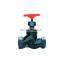 thread bellow seal pn16 globe valve,screw end kitz forged cast iron flanged globe valve