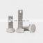 Factory stock Stainless steel  A2 A4 pernos y tuercas Hexagon head cap bolts and nuts
