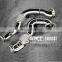 electric exhaust double valve for bmw z4 exhaust system catback with quad double tip