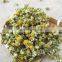 oem organic dried chamomile flower loose tea chamomile tea