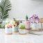3.1 Inch Modern Marble Luxury Cylinder Flower Planter Pot Matte White Ceramic Succulent Flower Pot