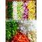 carrot shredding onion chopper machine vegetable cutting machine