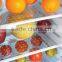 12v 24v Solar Refrigerator Fridge Freezer