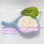 Manufacturer supply beta ecdysterone powder 5289-74-7