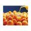 Máquina de procesamiento de jugo de naranja de peque?a capacidad completa