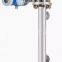 Customized 244LD Displacer Level Transmitter Useing FOXBORO 244LD LevelStar Head