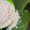 Vendas diretas da fábrica de granulos de ABS de grau de inje??o. Em alta demanda. ABS de alta qualidade