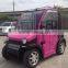 Mini 2 seats electric cars for adult