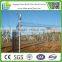 Hot dip galvanized cyclone wire fence with razor wire top