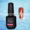 NEWEST!!! hot salegel polish, nail arts design,cat 'eyes gel nail polish with free samples