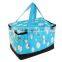 non woven picnic lunch bag