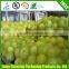 lemon mesh bag / vegetable fruit mesh bag / pp mesh net bag