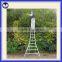 Aluminum tripod ladder for fruit picking