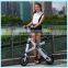 llightweight pocket bike two wheel chainless mini folding electric bike