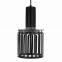 Indoor decorative iron cage pendant light with holder pendant lighting