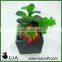 Small Mini Artificial Potted Plant Bonsai Succulents Garden for Wholeselling
