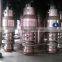 Lemon juice bottled filling machine production plant