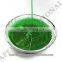 Amla Oil / Emblica Officinalis Oil / Amla Powder