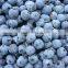 CHINA frozen mixed berries