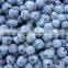 frozen mixed berries